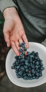 Food,Berries,Hand,Bowl,Bilberries