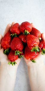 Food,Berries,Hands,Fruits,Strawberry