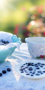 Food,Berries,Milk,Tablewares,Bilberries