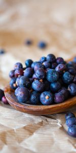 Food,Berries,Paper,Spoon,Bilberries,Fruits