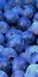 Food,Berries,Ripe,Bilberries,Close Up