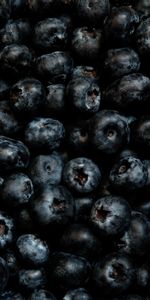 Food,Berries,Ripe,Bilberries,Fresh