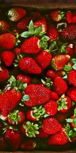 Food,Berries,Ripe,Juicy,Strawberry