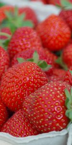 Food,Berries,Ripe,Strawberry