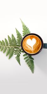 Food,Beverage,Fern,Cup,Drink,Cappuccino,Pattern