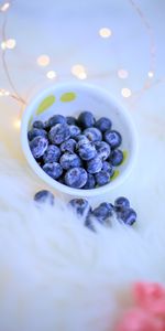 Food,Blueberry,Berries,Bowl,Garland