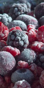 Blueberry,Framboise,Myrtilles,Ronce,Congelé,La Reine Des Neiges,Baies,Nourriture