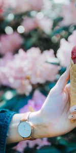 Food,Blur,Smooth,Manicure,Horn,Ice Cream,Hand,Shoehorn