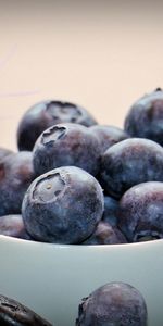 Food,Bowl,Ripe,Bilberries,Berries