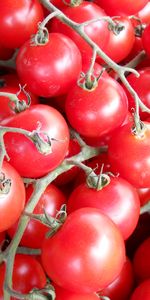 Food,Branch,Tomatoes,Vegetables