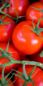 Verduras,Rama,Tomates,Comida