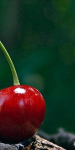 Food,Cherry,Glare,Background