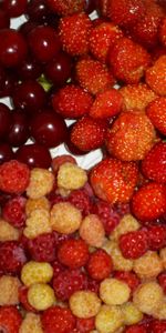 Cerise,Framboise,Nourriture,Baies,Fruits,Fraise