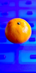 Food,Citrus,Photoshop,Mandarin,Tangerine,Fruit