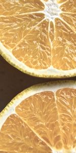 Food,Citrus,Section,Citruses,Slice,Oranges