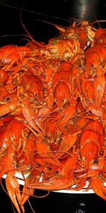 Food,Crayfish