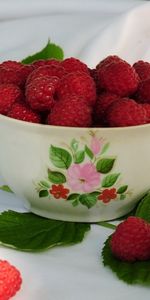 Food,Cups,Raspberry,Berries