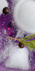 Food,Currant,Rosemary,Tonic,Ice