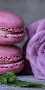 Cuisson,Produits De Boulangerie,Macaron,Les Makaroons,Nourriture,Macarons,Désert