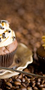 Grains De Café,Petits Gâteaux,Chocolat,Nourriture,Désert