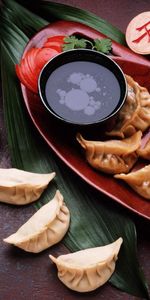 Food,Filling,Stuffing,Dumplings,Meat Dumplings,Japanese Kitchen,Japanese Cuisine,Sauce