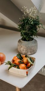 Flor,Caja,Agrios,Comida,Tangerinas,Citrus,Frutas