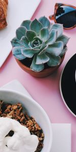 Food,Flower,Table,Spectacles,Glasses,Coffee