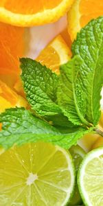 Food,Fruits,Lemons,Background,Oranges