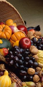 Food,Fruits,Still Life