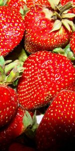 Food,Fruits,Strawberry