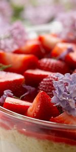 Nourriture,Fruits,Fraise