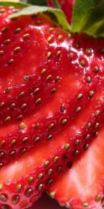 Food,Fruits,Strawberry,Background