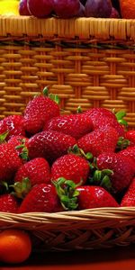 Fruits,Cépages,Nourriture,Fraise