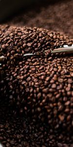 Food,Grain,Coffee Grinder,Brown,Grains,Coffee Beans,Coffee