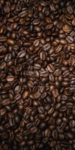 Food,Grains,Grain,Texture,Brown,Coffee Beans,Coffee