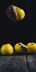 Food,Hand,Dark Background,Fruit,Apple