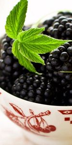 Food,Leaves,Bowl,Blackberry