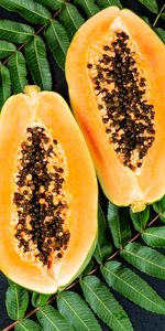 Food,Leaves,Papaya,Papaia,Exotic,Fruit