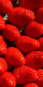 Food,Macro,Berry,Strawberry,Fruit