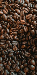 Food,Macro,Brown,Coffee,Coffee Beans