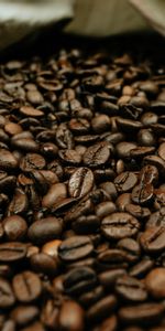 Food,Macro,Brown,Grain,Grains,Coffee Beans,Coffee