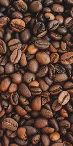 Food,Macro,Grain,Brown,Grains,Coffee