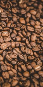 Food,Macro,Grain,Brown,Grains,Coffee Beans,Coffee