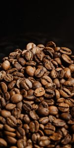 Food,Macro,Grain,Brown,Grains,Coffee Beans,Coffee