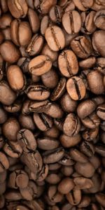 Food,Macro,Grain,Grains,Coffee Beans,Coffee