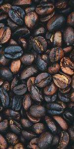 Food,Macro,Grain,Grains,Coffee,Coffee Beans