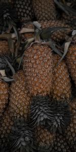 Food,Macro,Pineapple,Leaves,Fruits