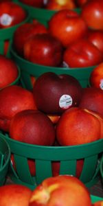 Food,Nectarines,Baskets,Fruits