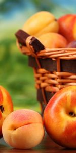 Nourriture,Fruits,Pêches