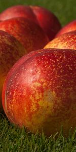 Food,Peaches,Ripe,Fruits